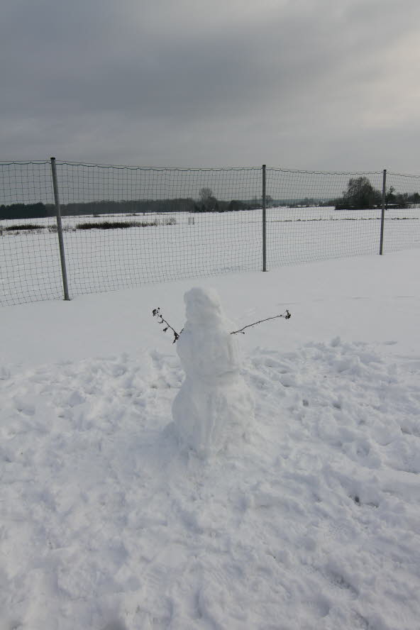 2011-01-01 14-08-24 - IMG_1998